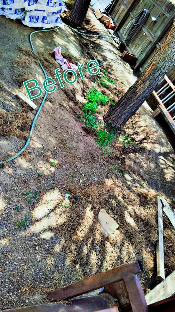 Reliable landscape installation in Deming, NM - 20 Tress Landspcape