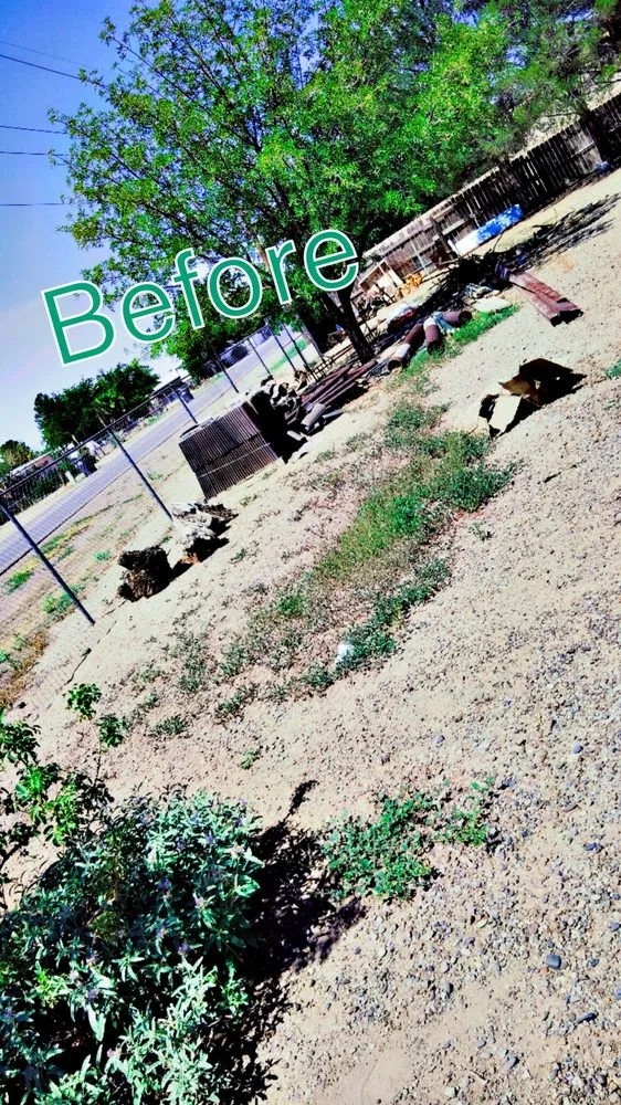 Affordable yard maintenance experts serving Deming, NM - 20 Tress Landspcape