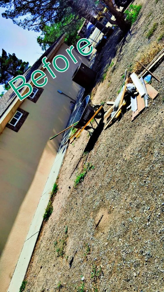 Local outdoor landscaping for beautiful yards across Deming, NM - 20 Tress Landspcape