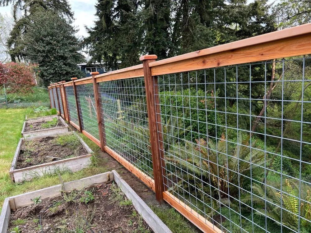 Expert yard cleanup service in Renton, WA by 206 Fencing