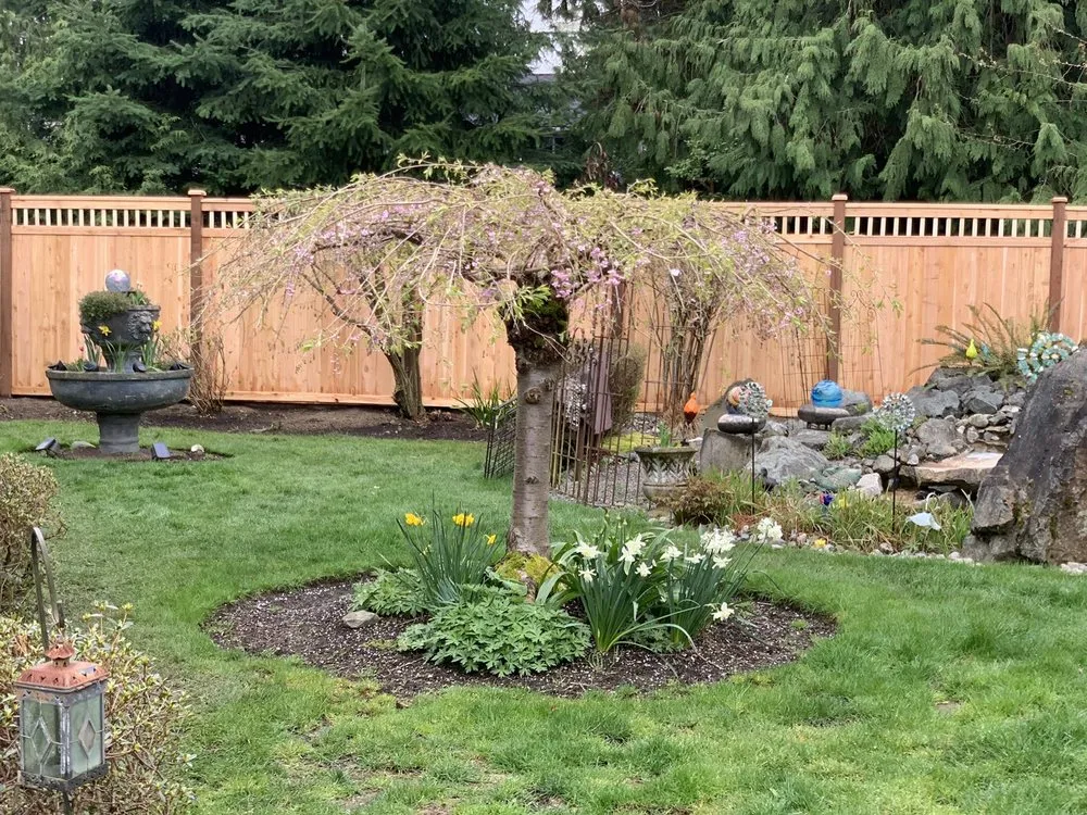Reliable landscaping services in Renton, WA by 206 Fencing