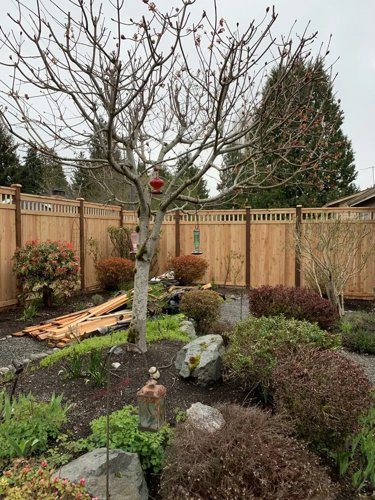 Reliable lawn mowing service in Renton, WA - 206 Fencing