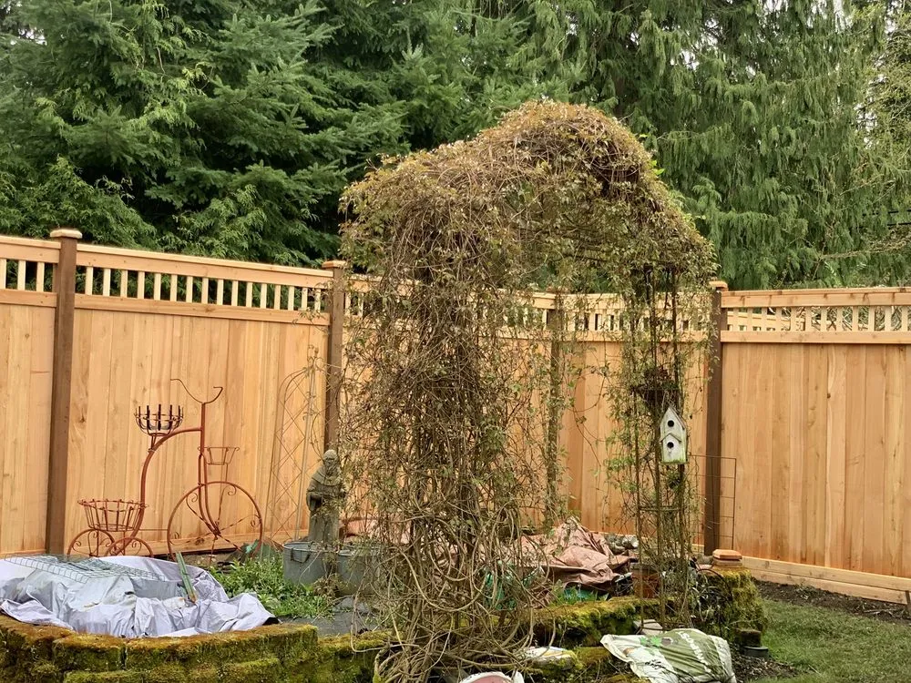 Top-rated lawn mowing service for homes in Renton, WA by 206 Fencing