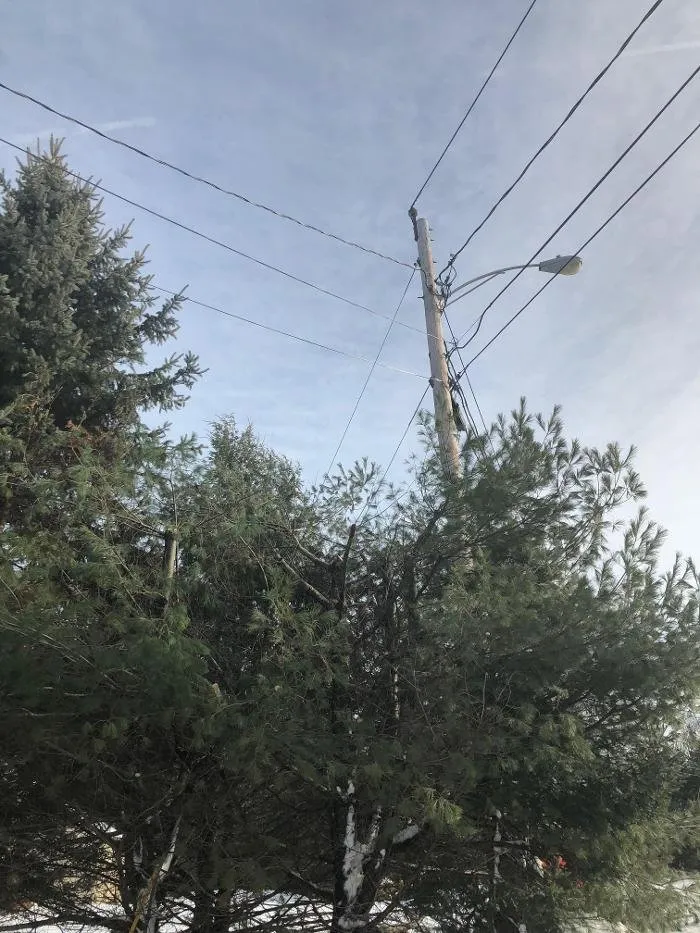 Local outdoor landscaping experts serving Gorham, ME - 207 Landscaping Tree Service