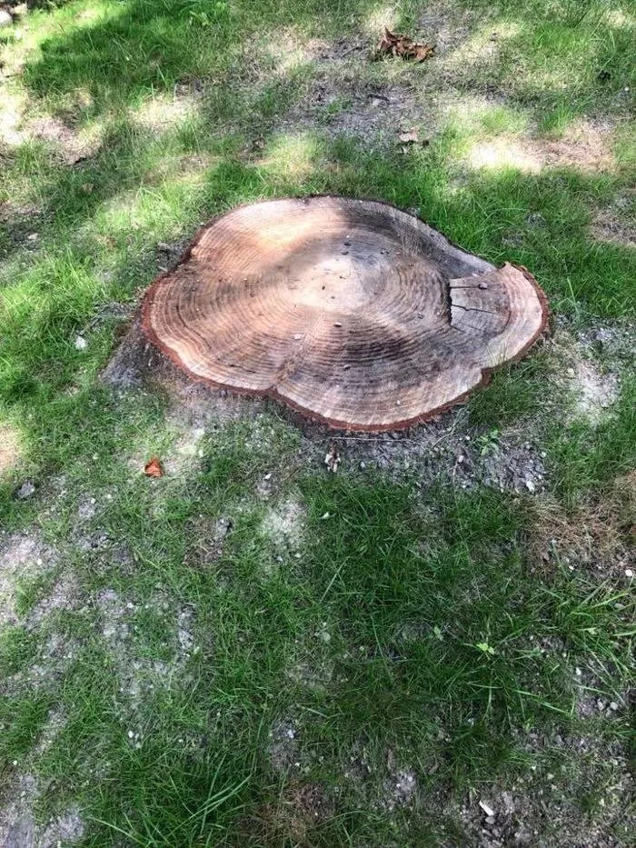 Top-rated yard cleanup service with custom design across Gorham, ME - 207 Landscaping Tree Service