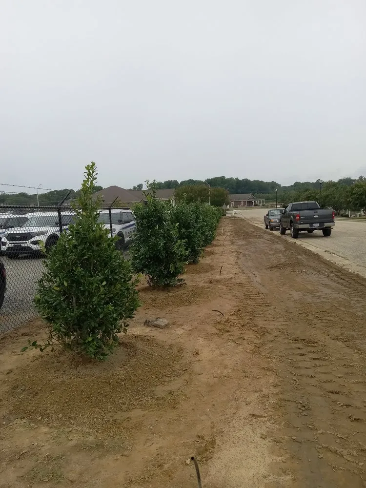 Reliable yard cleanup service for year-round maintenance across Linden, NC - 208 Gomez Lawn Care