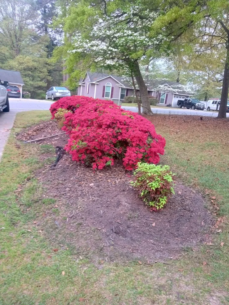 Expert landscape design experts serving Linden, NC - 208 Gomez Lawn Care