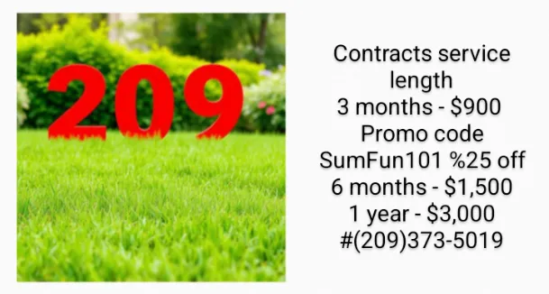 Expert yard maintenance in Stockton, CA by 209 Lawn Service