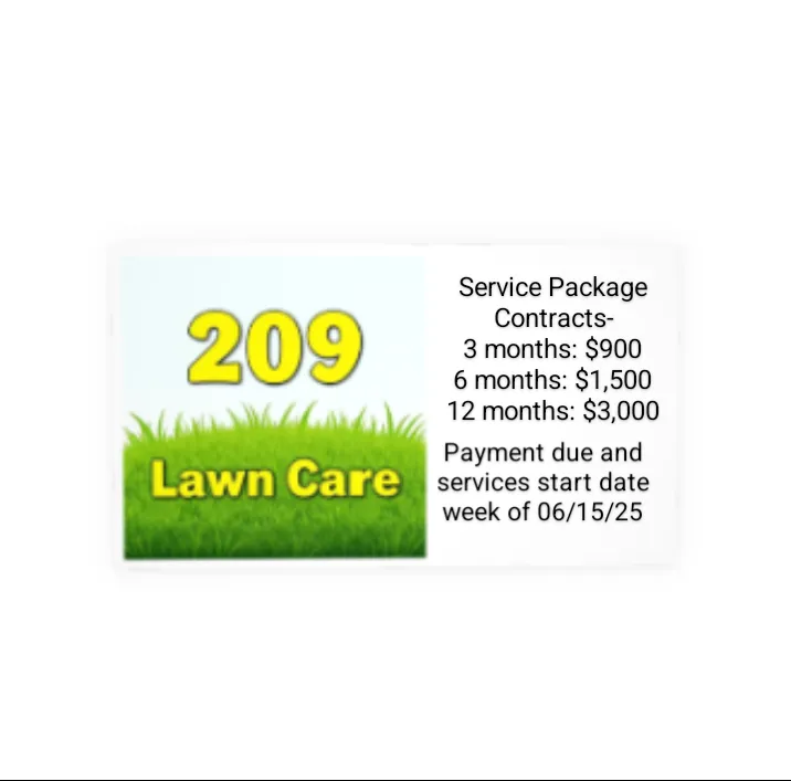 Expert lawn care service in Stockton, CA by 209 Lawn Service