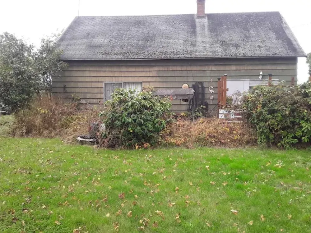 Trusted yard cleanup service experts serving Stockton, CA - 209 Services