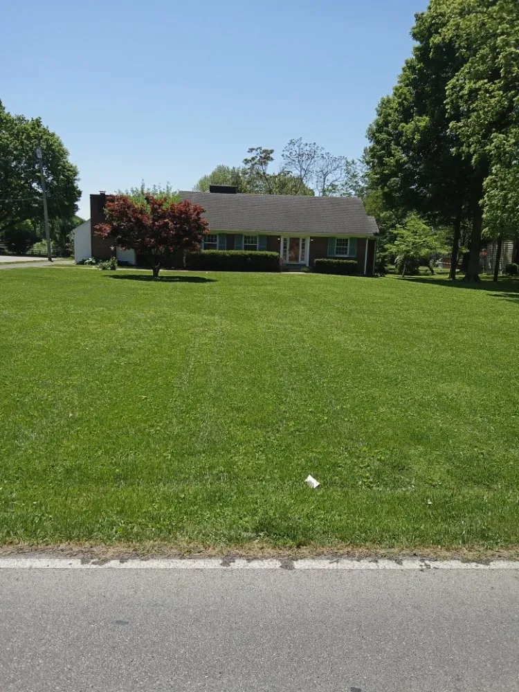 Reliable yard cleanup service near you in Louisville, KY by 21 Blades Lawn Care and Services