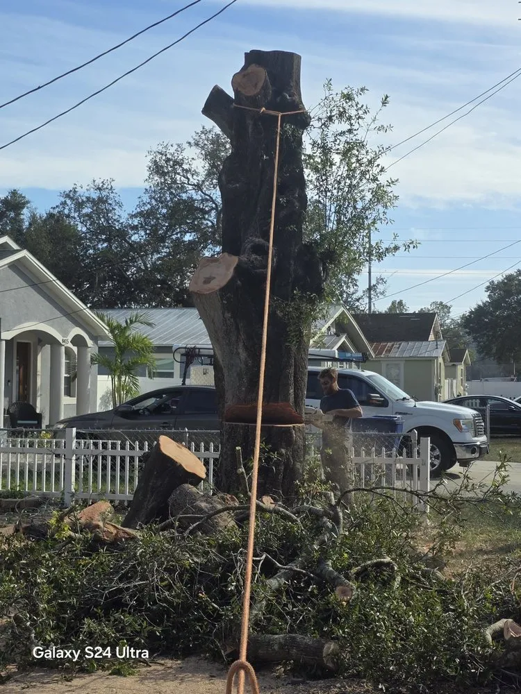 Professional landscape design for homes across Orlando, FL - 21 Landscape Care