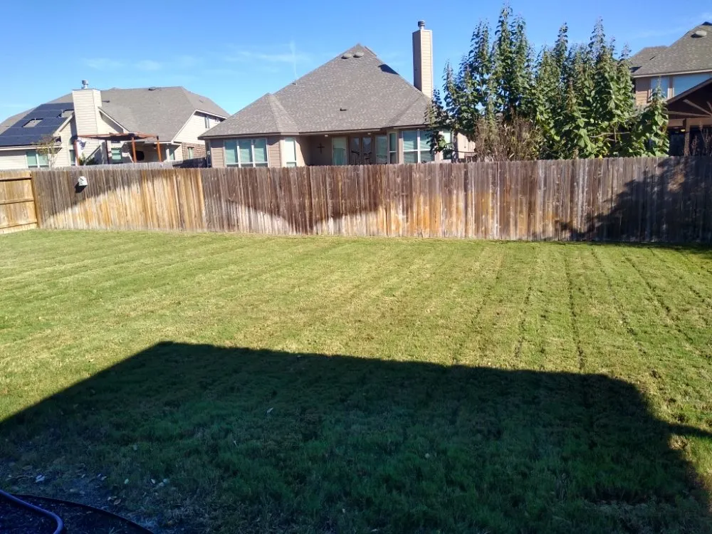 Professional yard cleanup service in Leon Valley, TX by 210 Landscape