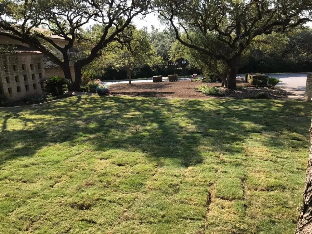 Professional lawn care service near you across Leon Valley, TX - 210 Landscape