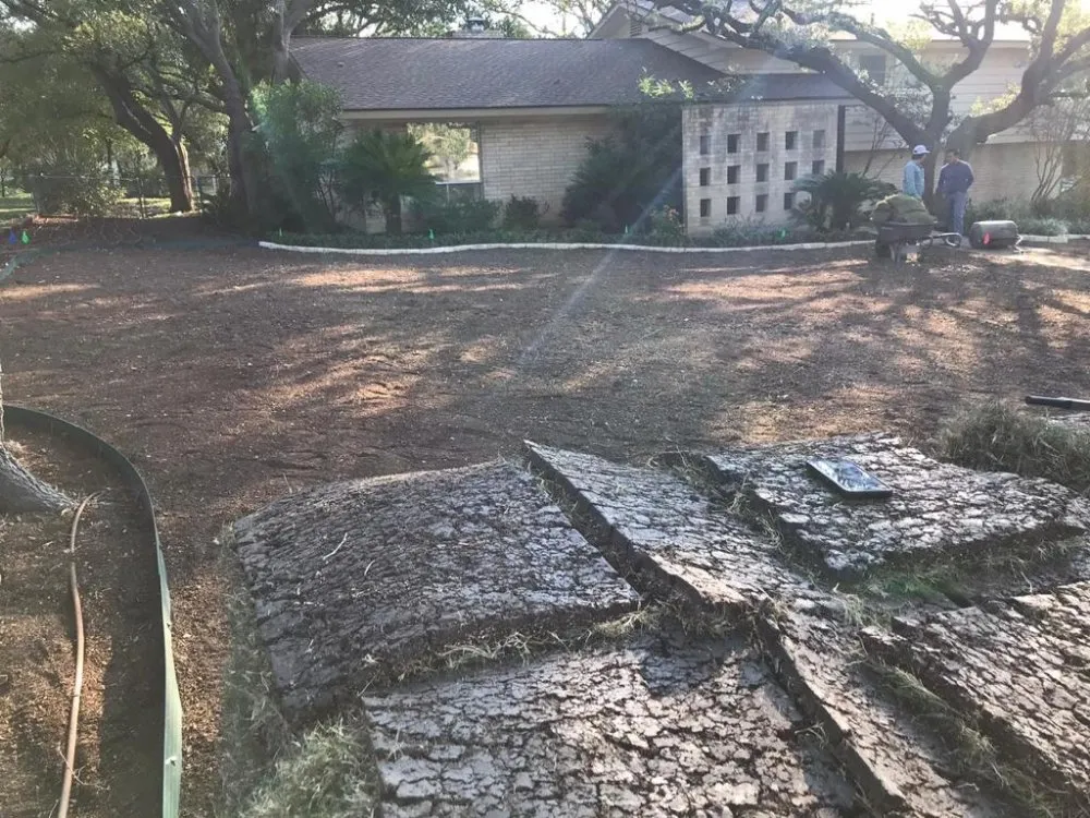 Trusted landscaping services for residential properties in Leon Valley, TX by 210 Landscape