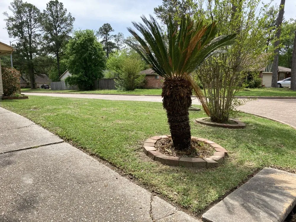 Reliable landscaping services for residential properties across Huffman, TX - 2100 Lawn Cutters