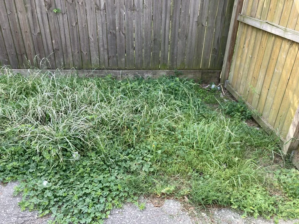 Professional yard maintenance in Huffman, TX by 2100 Lawn Cutters