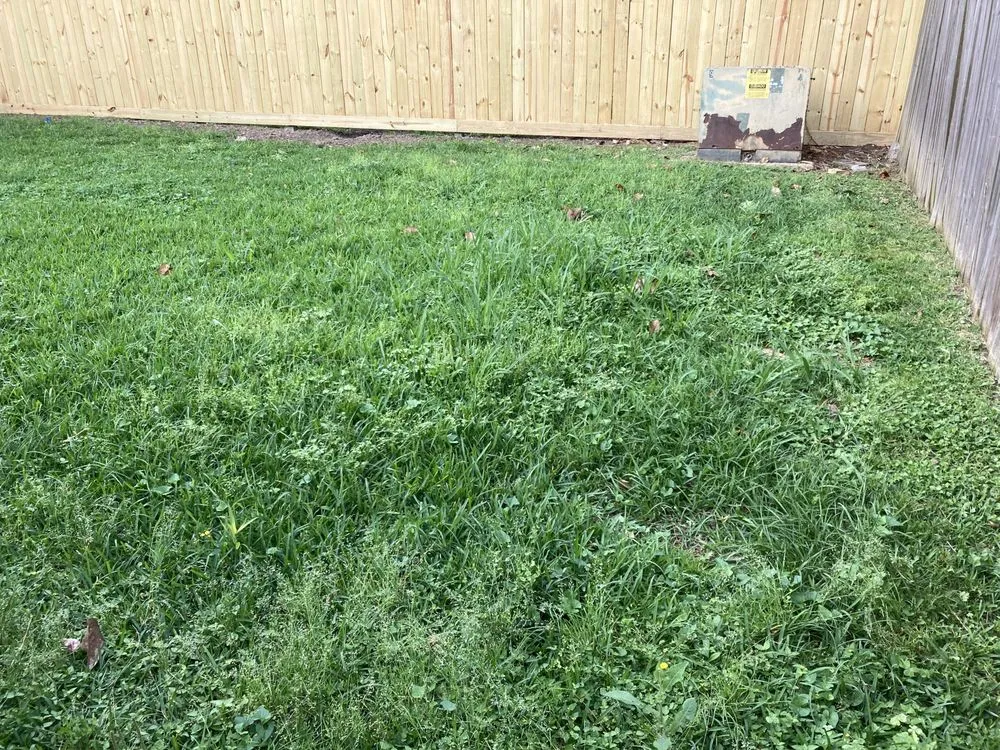 Custom lawn care service for residential properties across Huffman, TX - 2100 Lawn Cutters