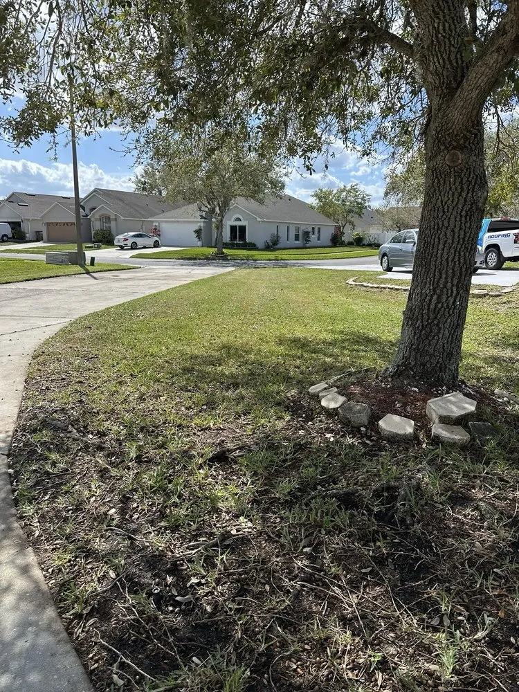 Affordable landscaping services in Kissimmee, FL - 2111 Lawn Care