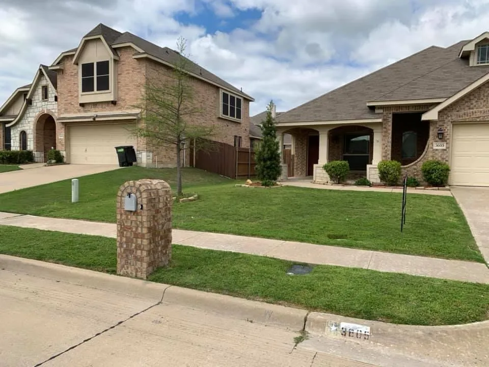 Custom lawn care service for year-round maintenance across Midlothian, TX - 2:15 Lawncare