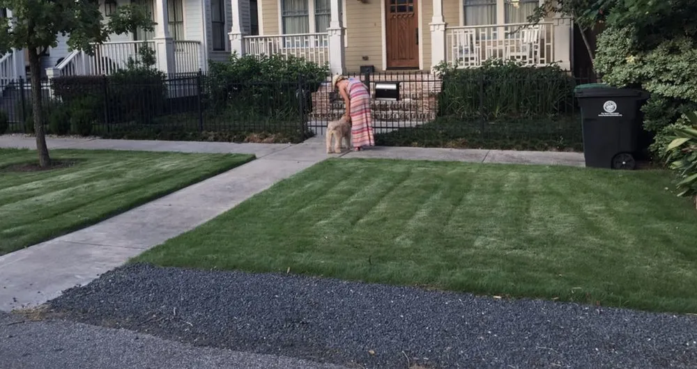 Custom residential landscaping with custom design across Springfield, IL - 217 Lawn Care