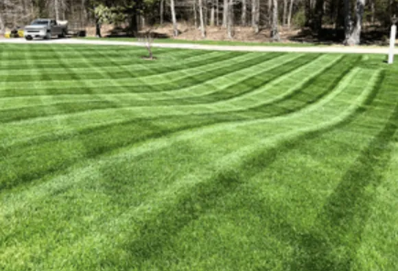 Custom yard maintenance in Springfield, IL by 217 Lawn Care