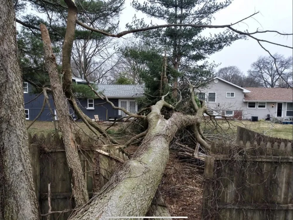 Professional yard maintenance for residential properties across Talono, IL - 217 Restorations