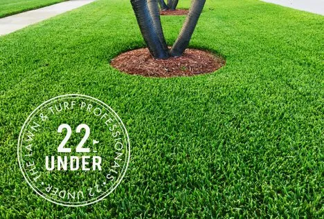 Reliable garden landscaping for residential properties across Palm Springs, FL - 22 Under