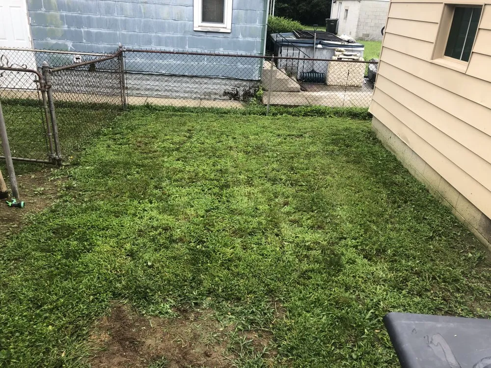 Local outdoor landscaping for year-round maintenance in Columbus, OH by 23 Lawn Care