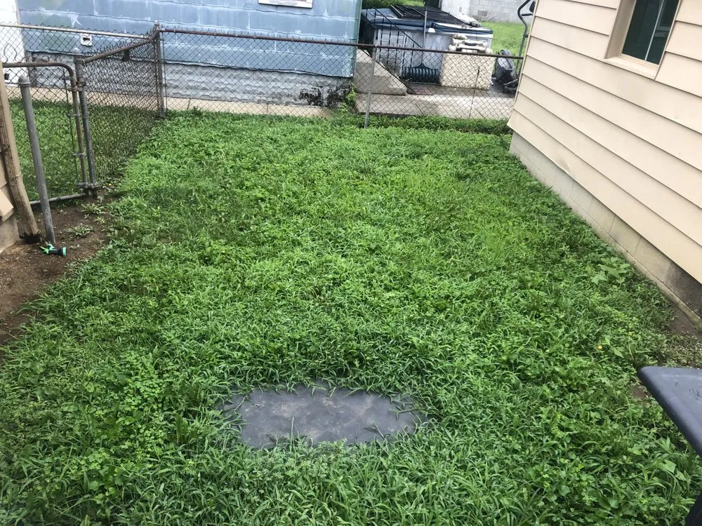 Local lawn mowing service for year-round maintenance in Columbus, OH by 23 Lawn Care