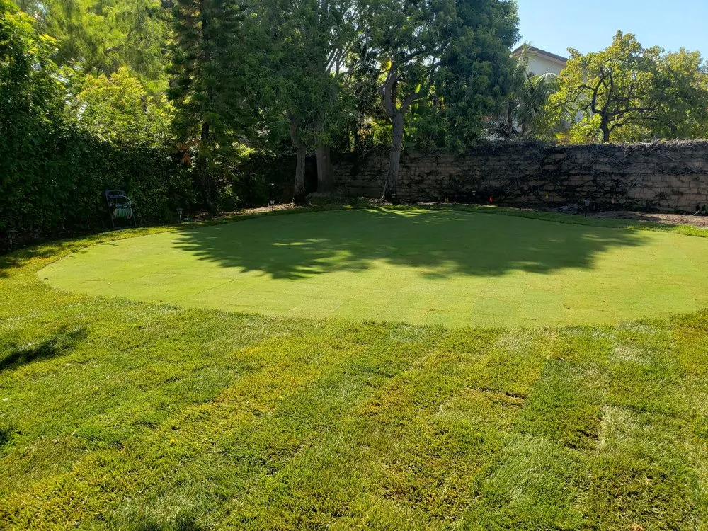 Professional landscaping services for outdoor upgrades in Newbury Park, CA by 24 Kt Green