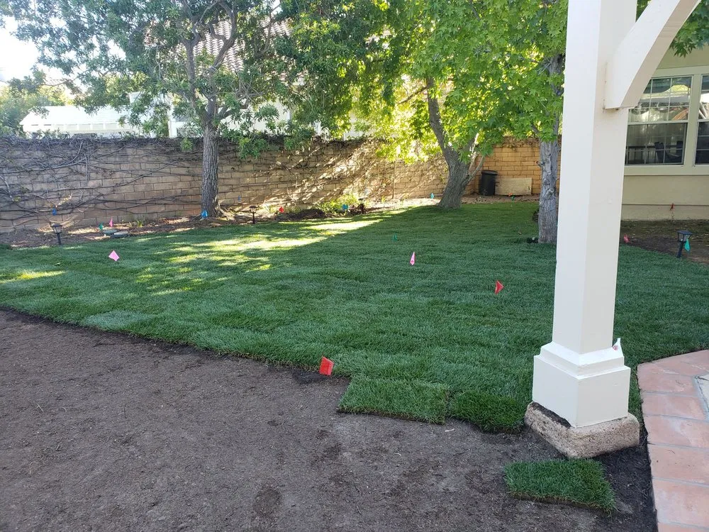 Top-rated yard cleanup service for beautiful yards across Newbury Park, CA - 24 Kt Green