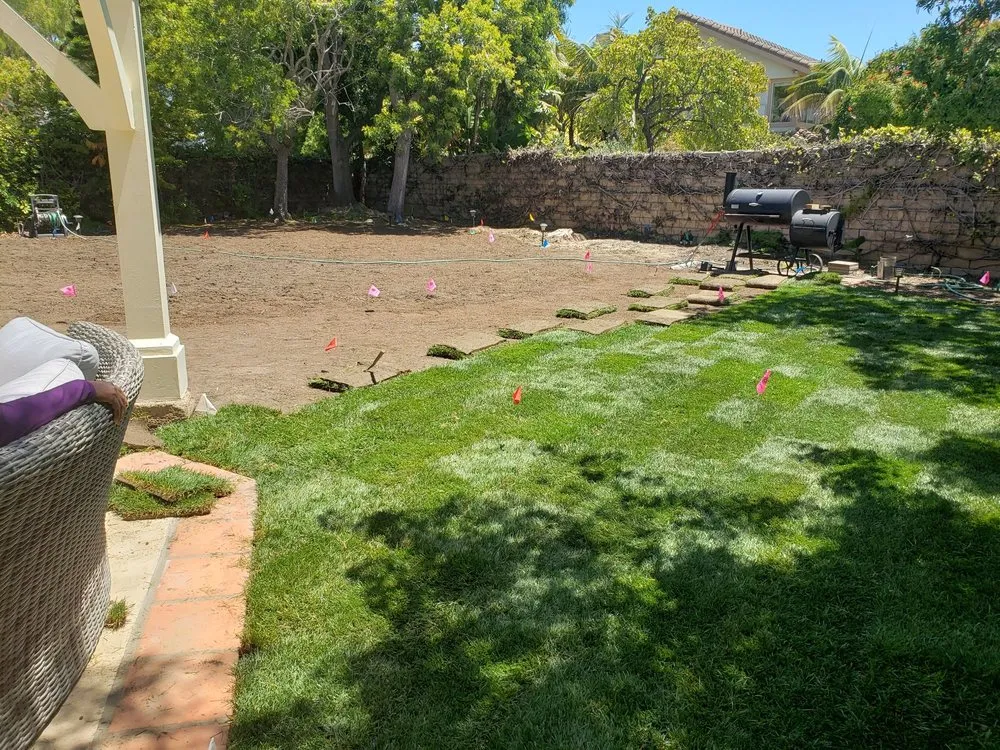 Professional lawn mowing service in Newbury Park, CA - 24 Kt Green