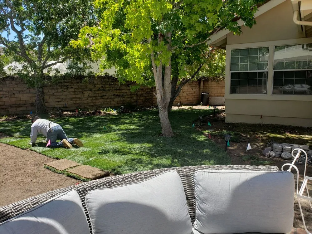 Trusted lawn mowing service in Newbury Park, CA by 24 Kt Green