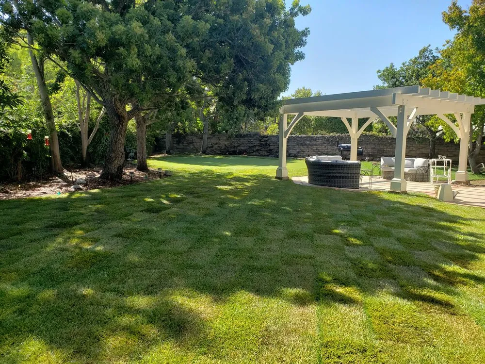 Expert landscape design in Newbury Park, CA - 24 Kt Green