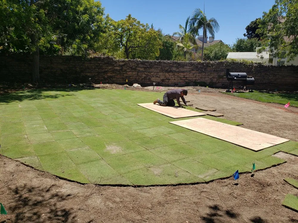 Local garden landscaping in Newbury Park, CA - 24 Kt Green