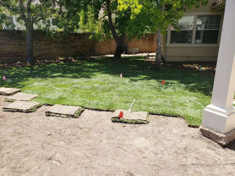 Expert landscape installation in Newbury Park, CA - 24 Kt Green