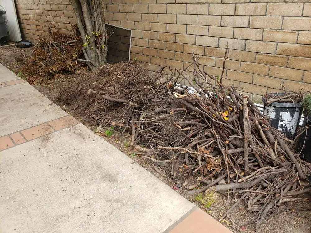 Custom landscape design in Newbury Park, CA by 24 Kt Green