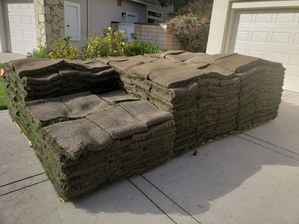 Local yard maintenance in Newbury Park, CA by 24 Kt Green