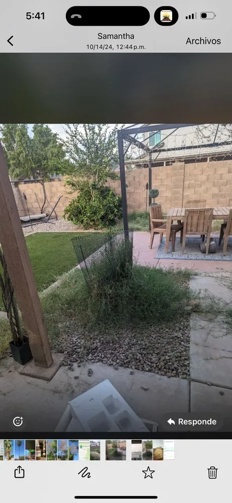 Custom yard cleanup service in Phoenix, AZ - 24/7 Landscape Services