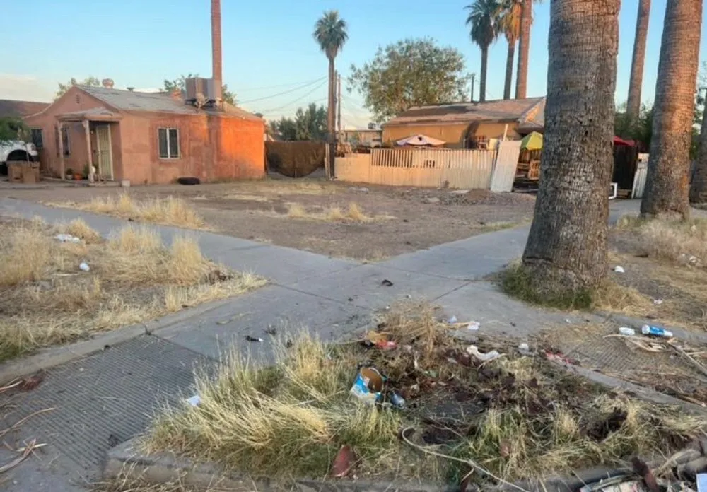 Custom yard cleanup service in Phoenix, AZ by 24/7 Landscape Services