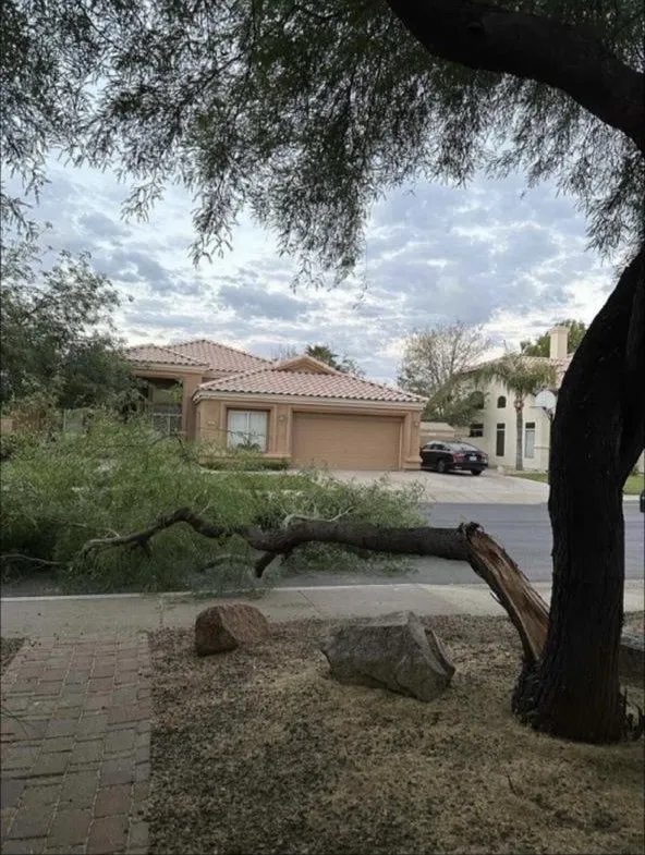 Professional yard maintenance in Phoenix, AZ - 24/7 Landscape Services