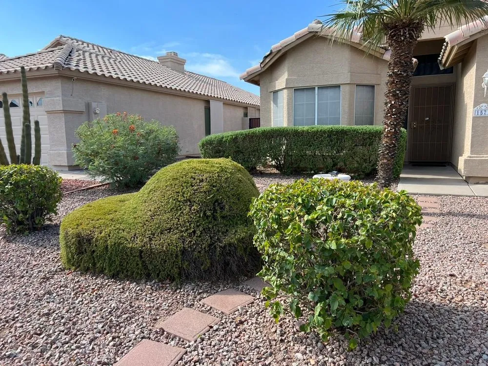 Trusted yard cleanup service experts serving Phoenix, AZ - 24/7 Landscape Services