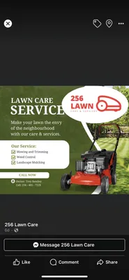256 Lawn Care Logo