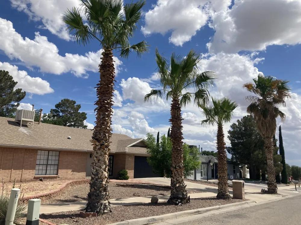 Professional lawn care service for residential properties in El Paso, TX by 26 Palms