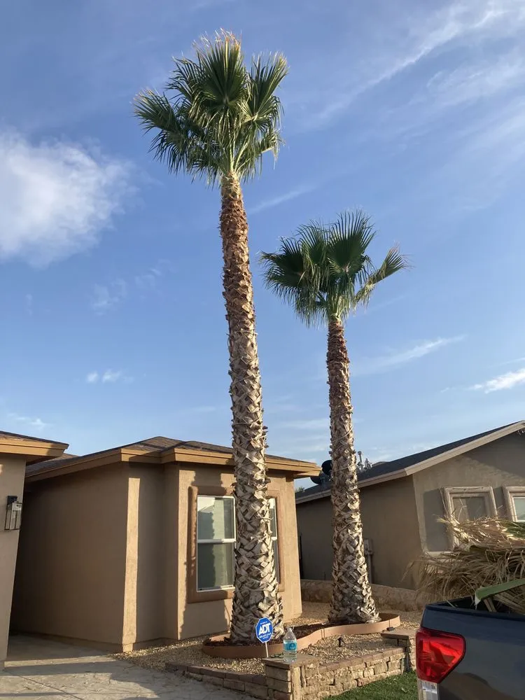 Custom landscape design near you across El Paso, TX - 26 Palms