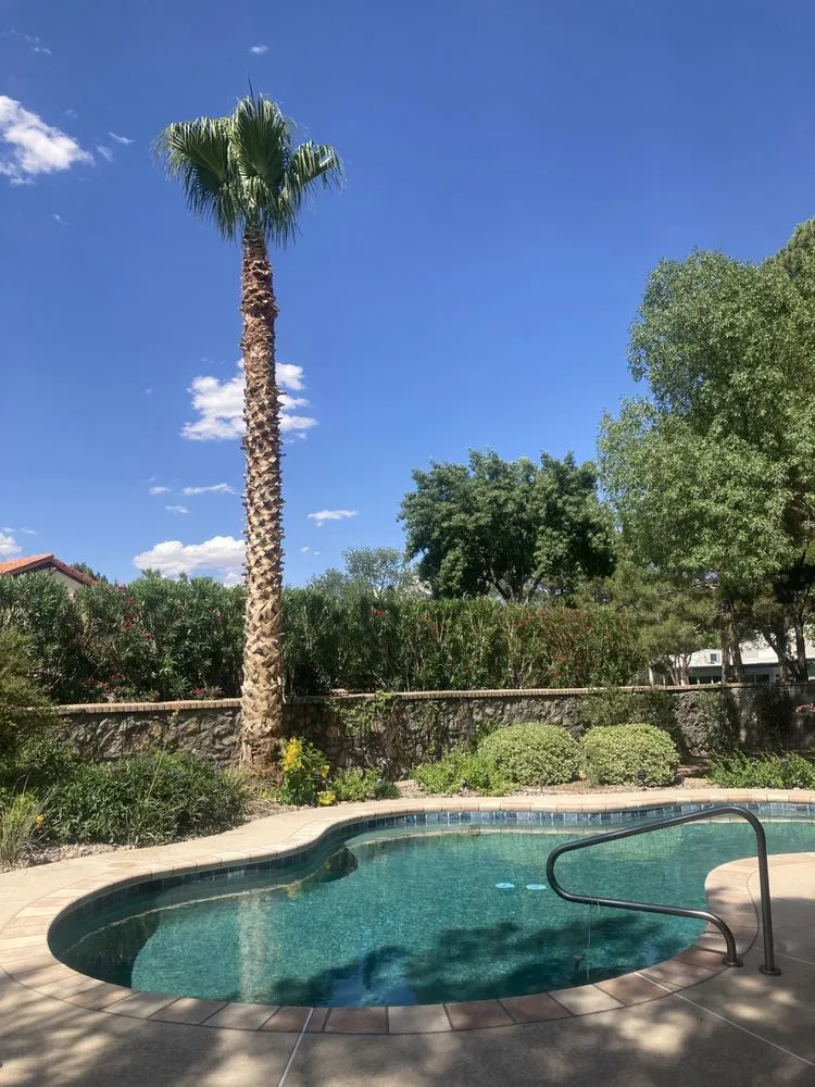 Trusted lawn care service in El Paso, TX by 26 Palms