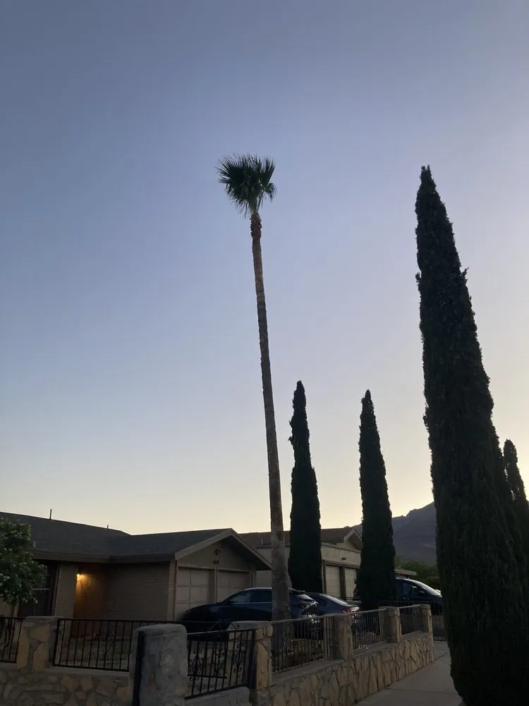 Professional lawn care service in El Paso, TX - 26 Palms