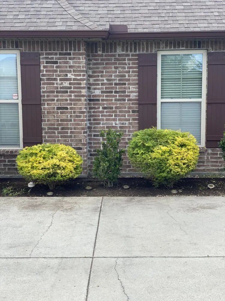 Custom yard maintenance near you across Baton Rouge, LA - 2717 Lawncare & Landscaping