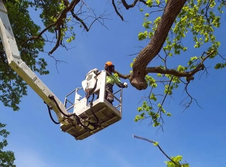 Local outdoor landscaping for residential properties in Raceland, LA by 28 Blue Construction